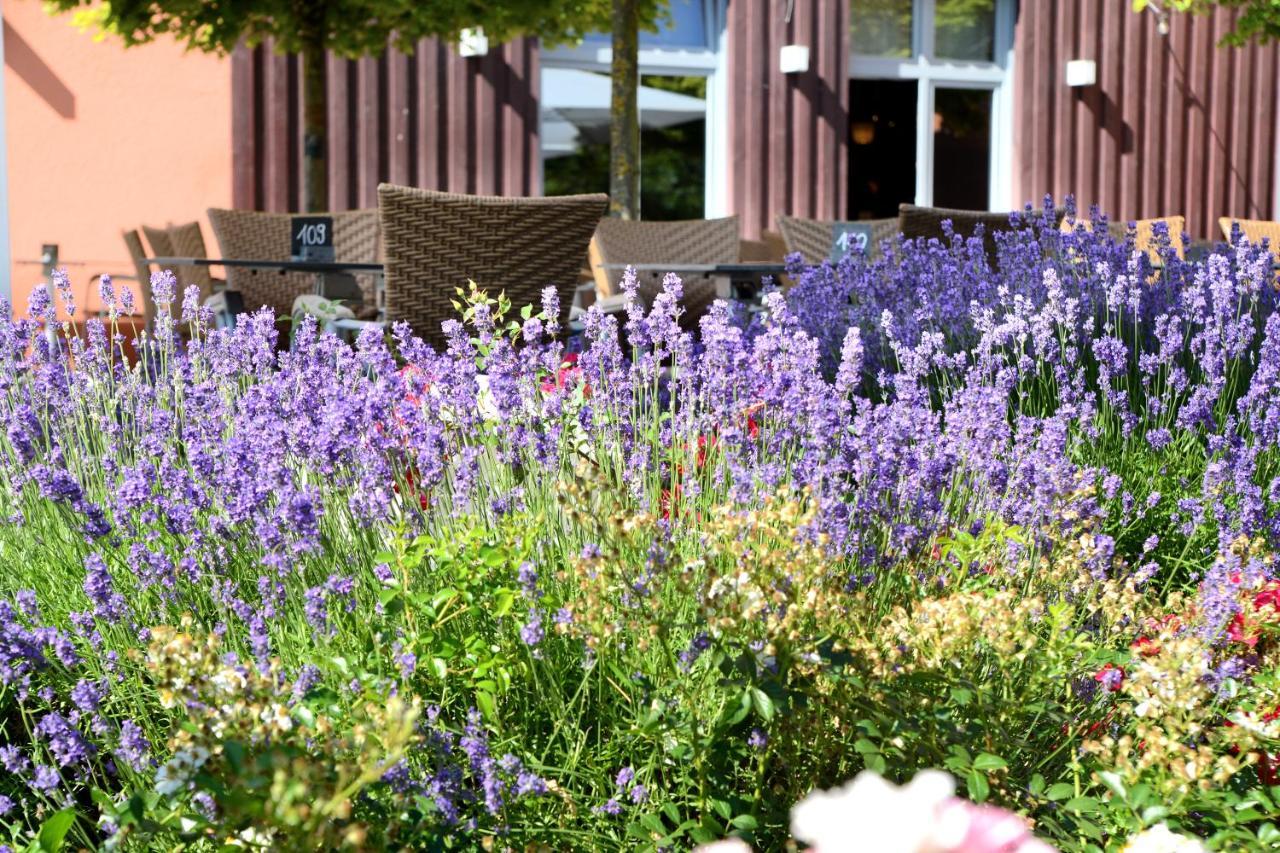 Weinkulturgut Longen-Schloeder Hotel Longuich Luaran gambar